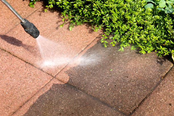 Best Exterior Home Cleaning  in North Westport, MA